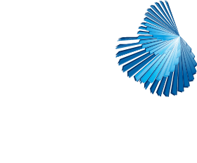 Webcast Logo
