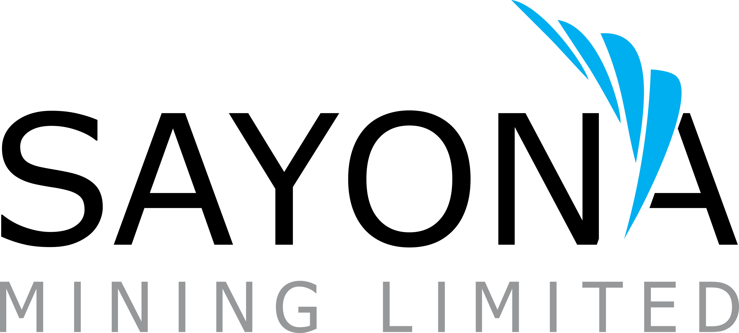 Webcast Logo